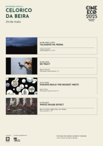 Cine Eco 29 Cine Eco 29