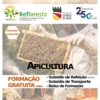 Apicultura