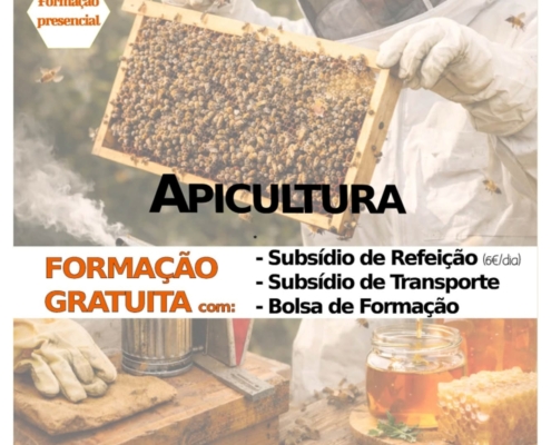 Apicultura