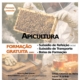Apicultura