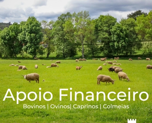 Apoio Financeiro