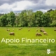Apoio Financeiro