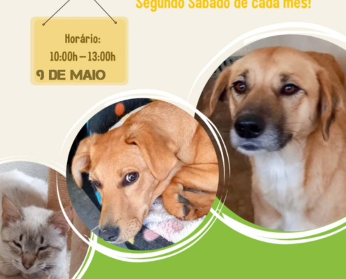 Dia Aberto Maio (003)