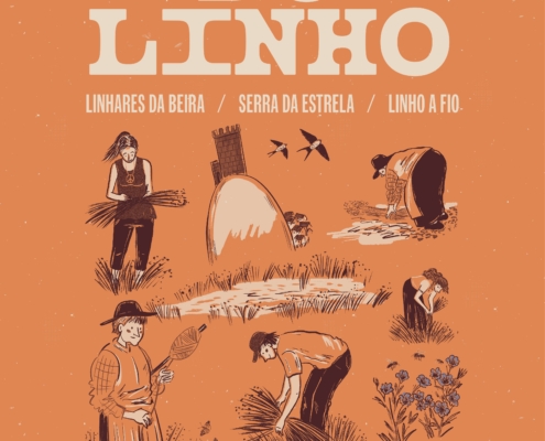 Festa Linho
