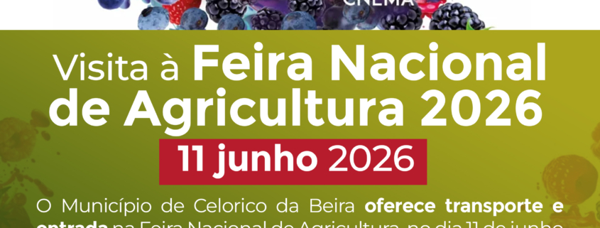 Visita Fna 26