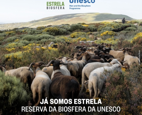 Estrela Biosfera