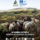 Estrela Biosfera