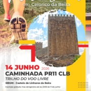 Pr11 Clb