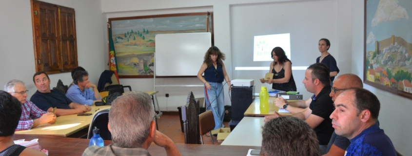 Apicultura (7)