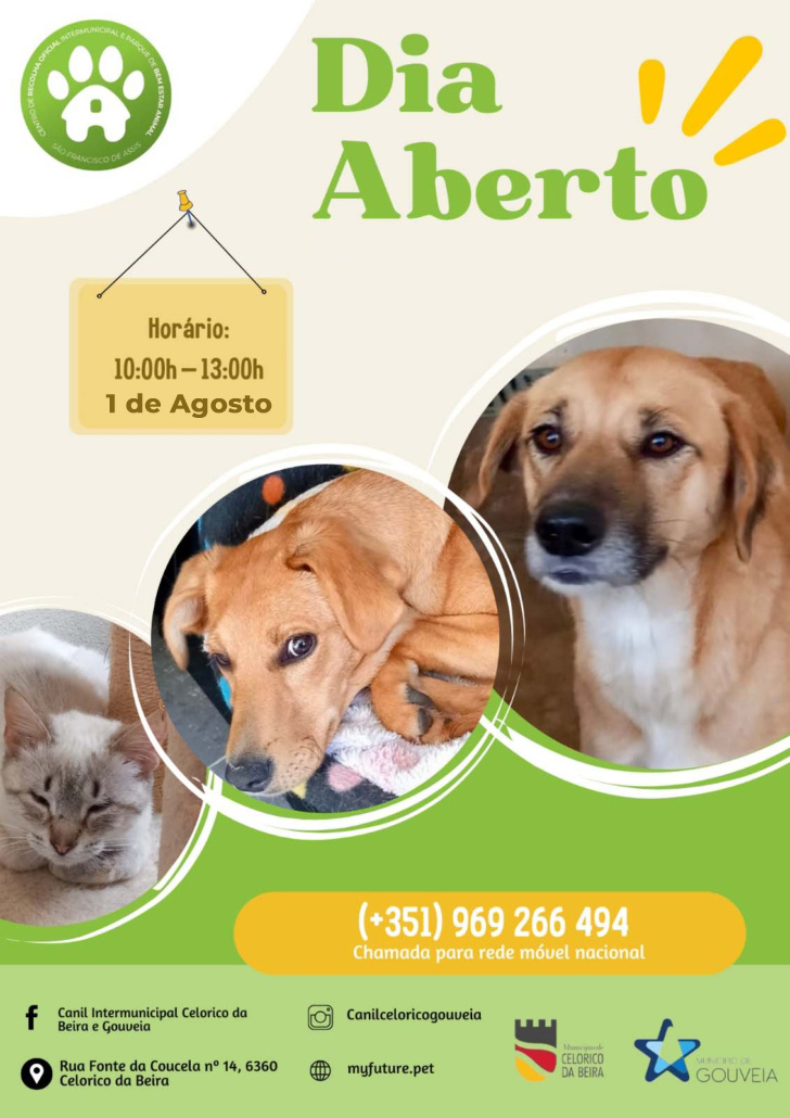 Dia Aberto Cancelado 1 Agosto