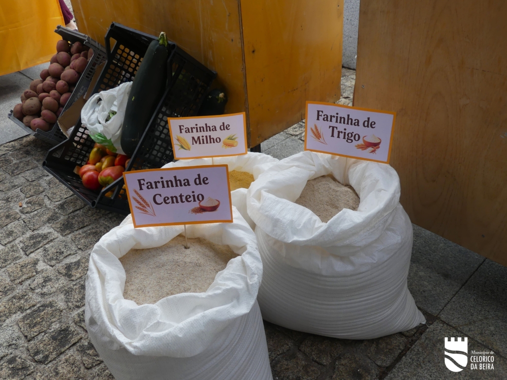 P1510082
