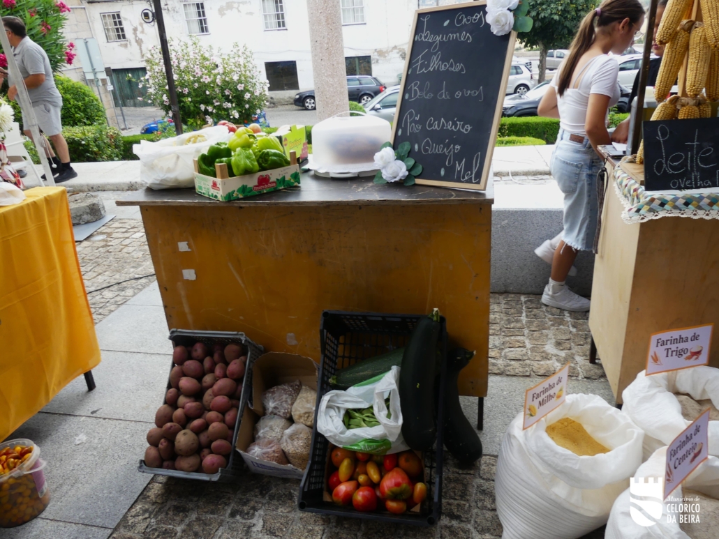 P1510089
