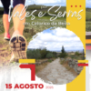 15 Agosto Pr4