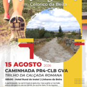 15 Agosto Pr4