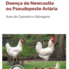 Doença De Newcastle