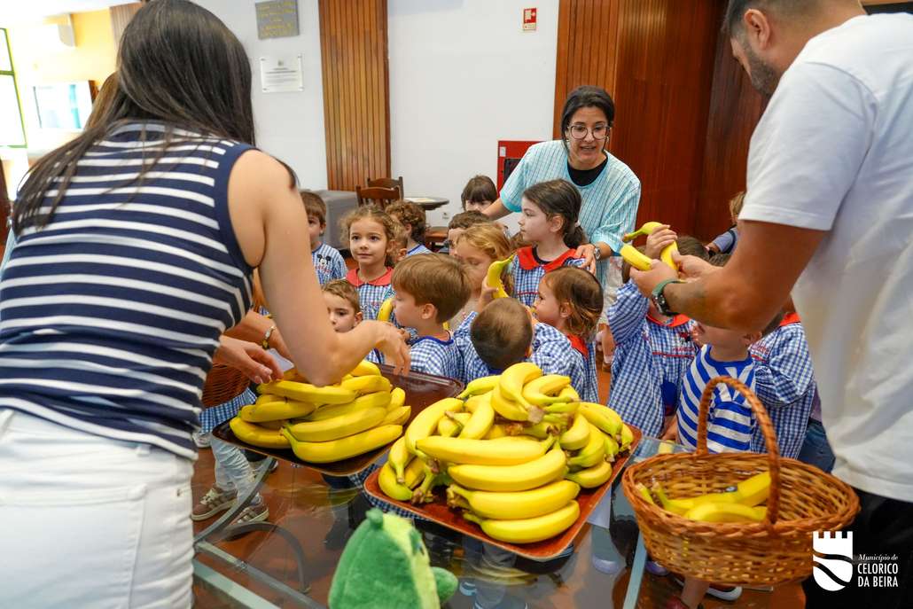 Alimentação Saudável (5)