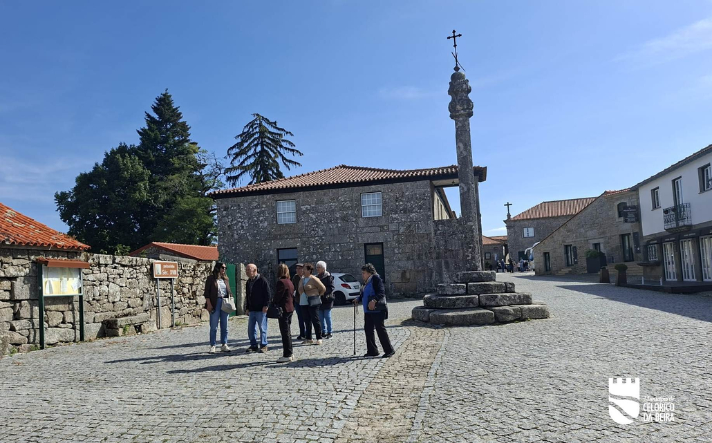 Dia Internacional Do Idoso (1)