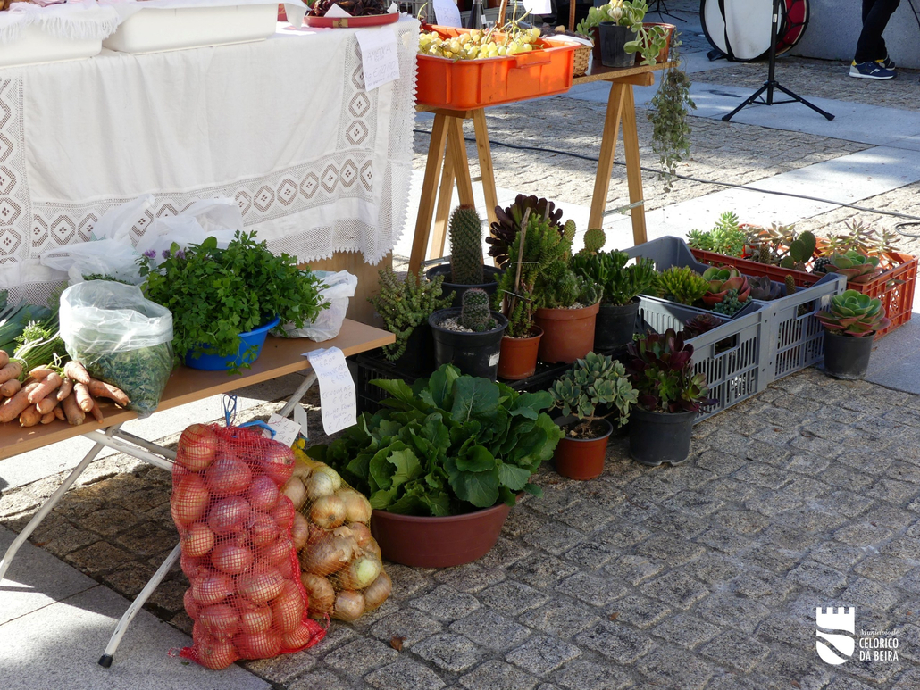 Ecomercado (12)