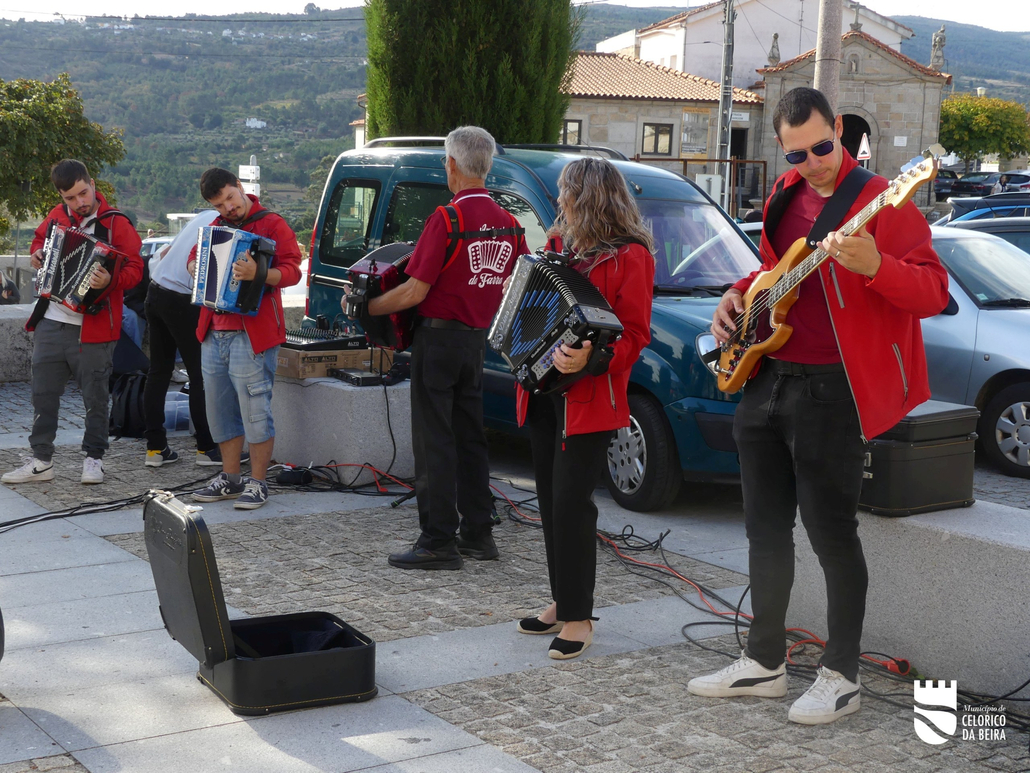 Ecomercado (13)