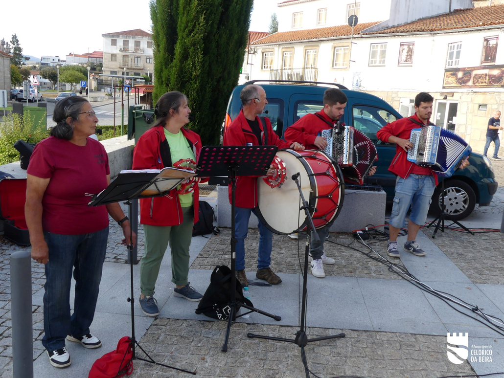 Ecomercado (15)