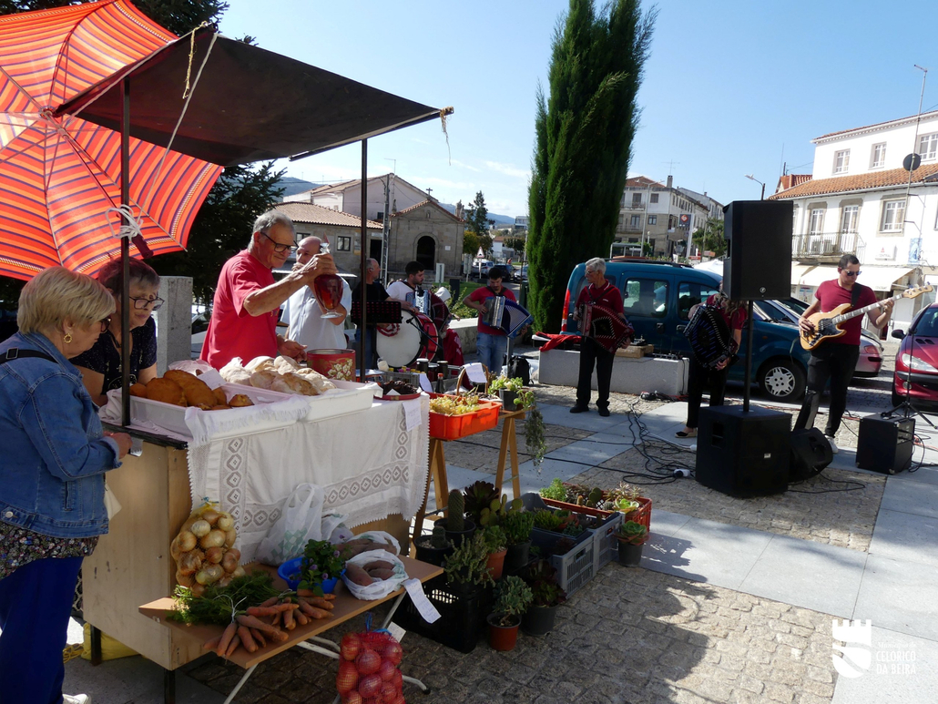 Ecomercado (31)