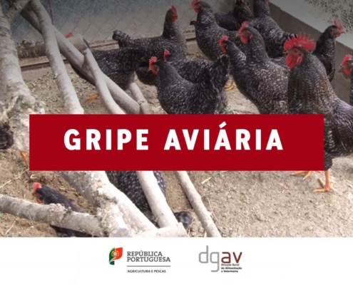 Gripe Aviaria 09 2026