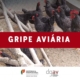 Gripe Aviaria 09 2026