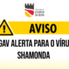 Virus Shamonda