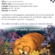 Urso laranja e filho em floresta colorida com folhas de outono, anúncio de atividade infantil.